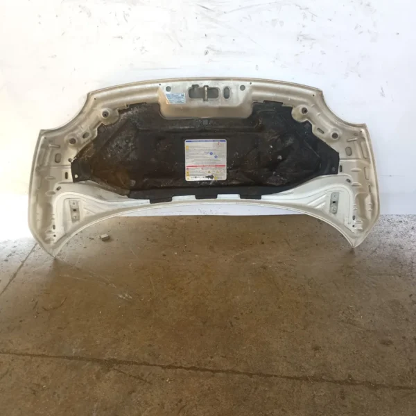 Cofano anteriore Fiat 500 (2007 – 2015) 1.4 74 KW benzina 52009424 169A3000