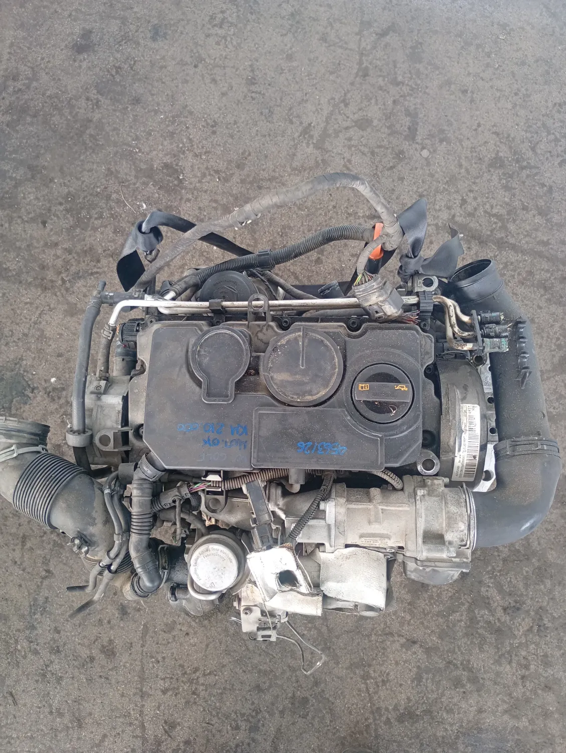 Motore semicompleto Volkswagen Golf (2003 – 2009) 1.9 77 KW diesel 03G100098HX BLS