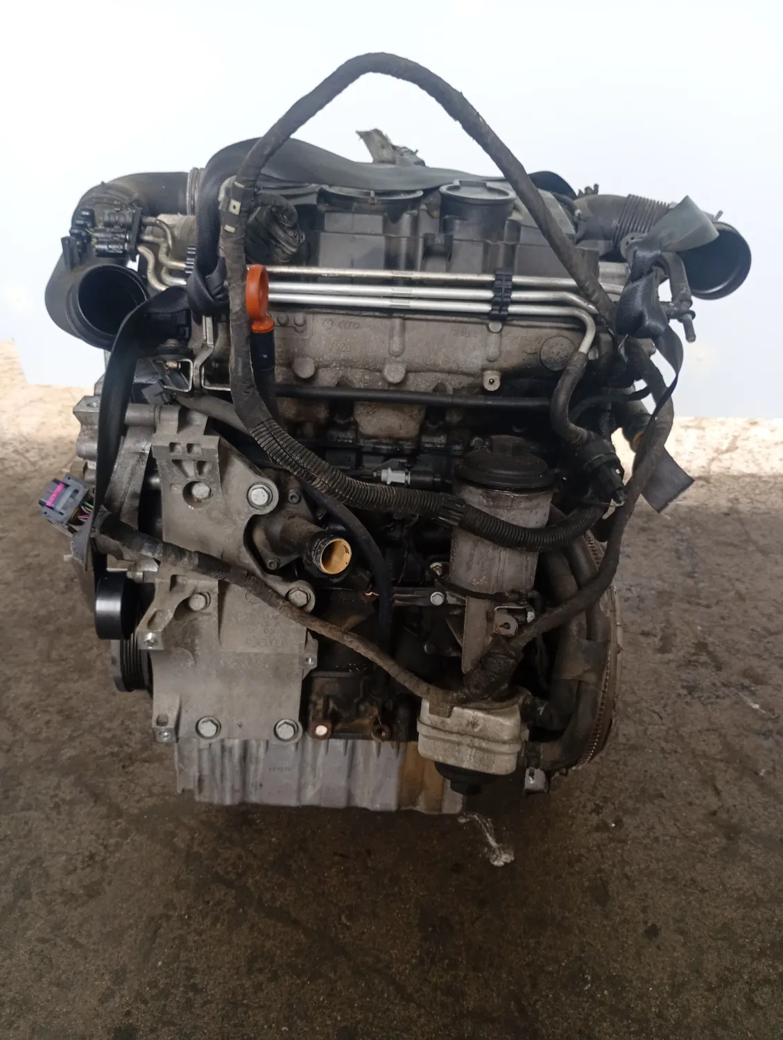 Motore semicompleto Volkswagen Golf (2003 – 2009) 1.9 77 KW diesel 03G100098HX BLS