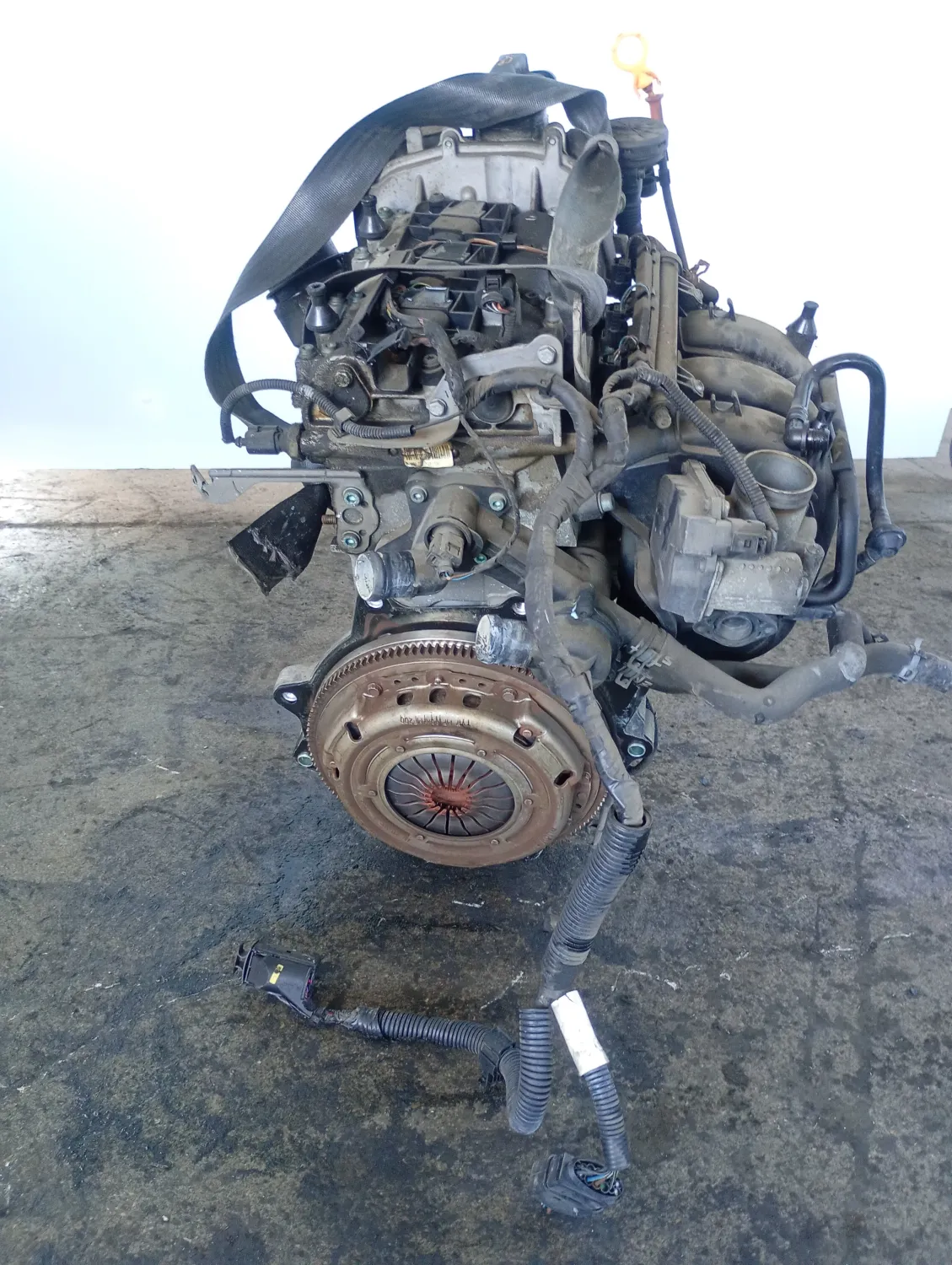Motore completo Volkswagen Polo (2005 – oggi) 1.2 47 KW benzina BME