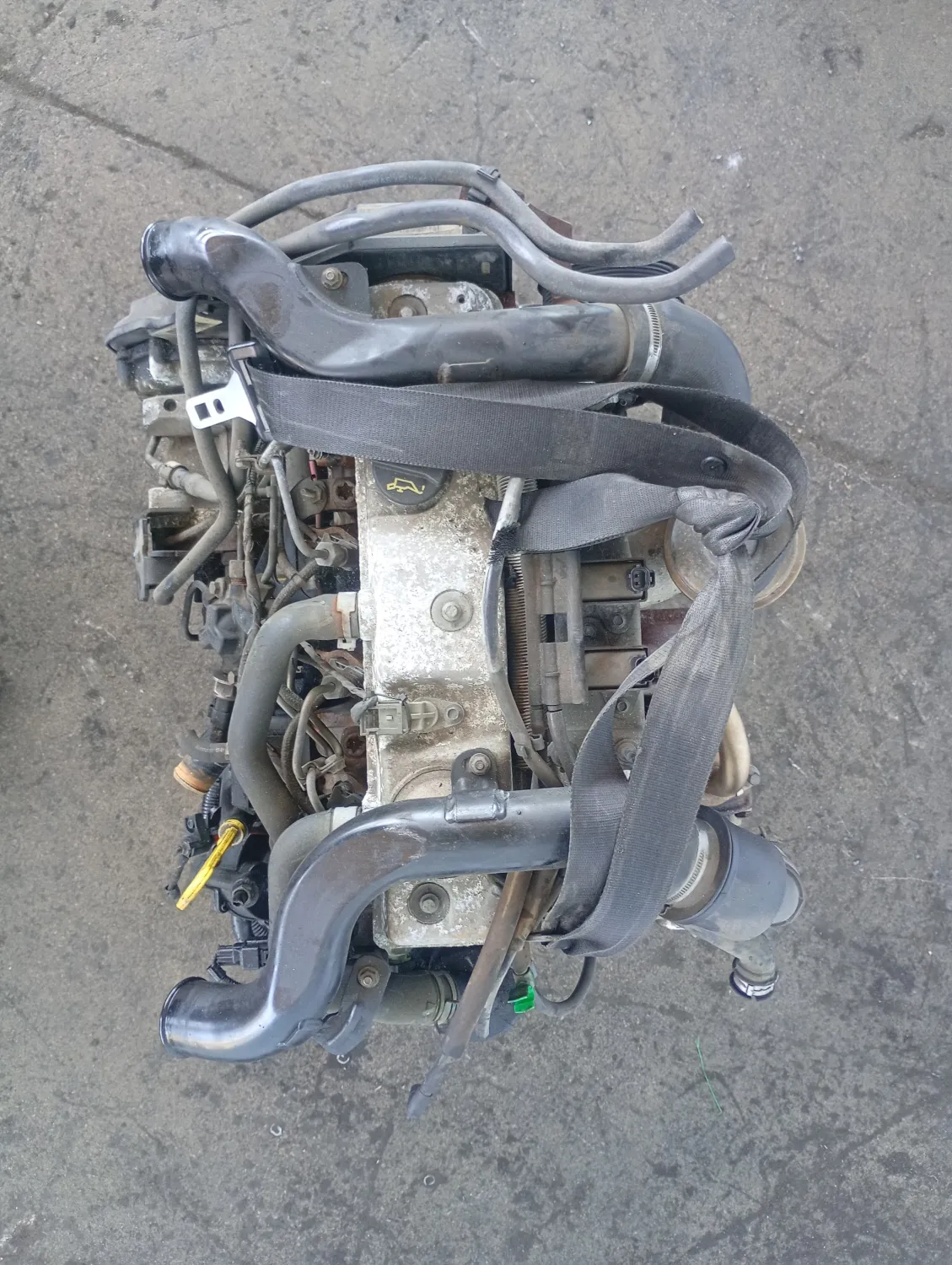 Motore semicompleto Ford Focus (2001 – 2005) 1.8 74 KW diesel 1354685 FFDA
