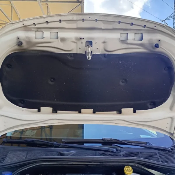 Cofano anteriore Citroen C4 Cactus (2014 – 2019) 1.6 73 KW diesel 9828105480 BH02