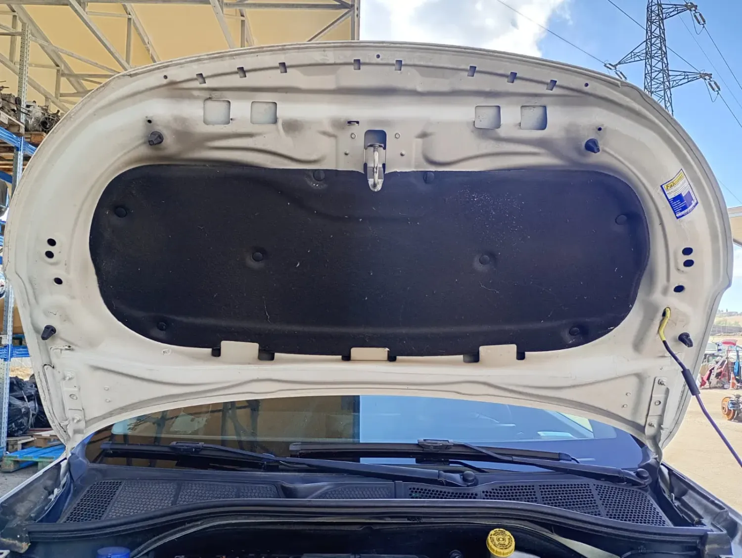 Cofano anteriore Citroen C4 Cactus (2014 – 2019) 1.6 73 KW diesel 9828105480 BH02