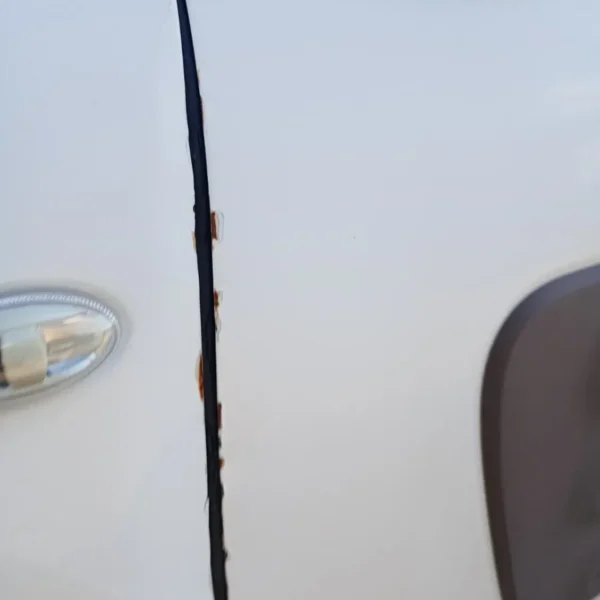 Porta anteriore sinistra Citroen C4 Cactus (2014 – 2019) 1.6 73 KW diesel 9801012980 BH02