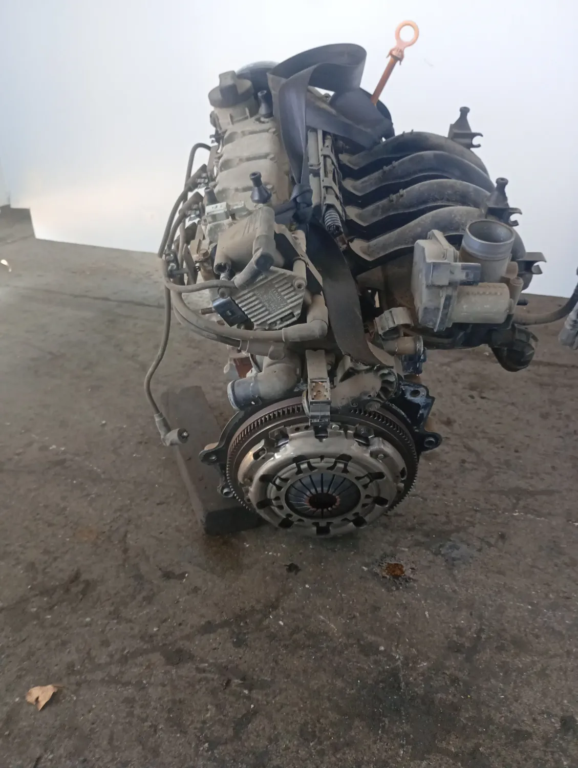 Motore completo Volkswagen Fox (2005 – 2011) 1.4 55 KW benzina BKR