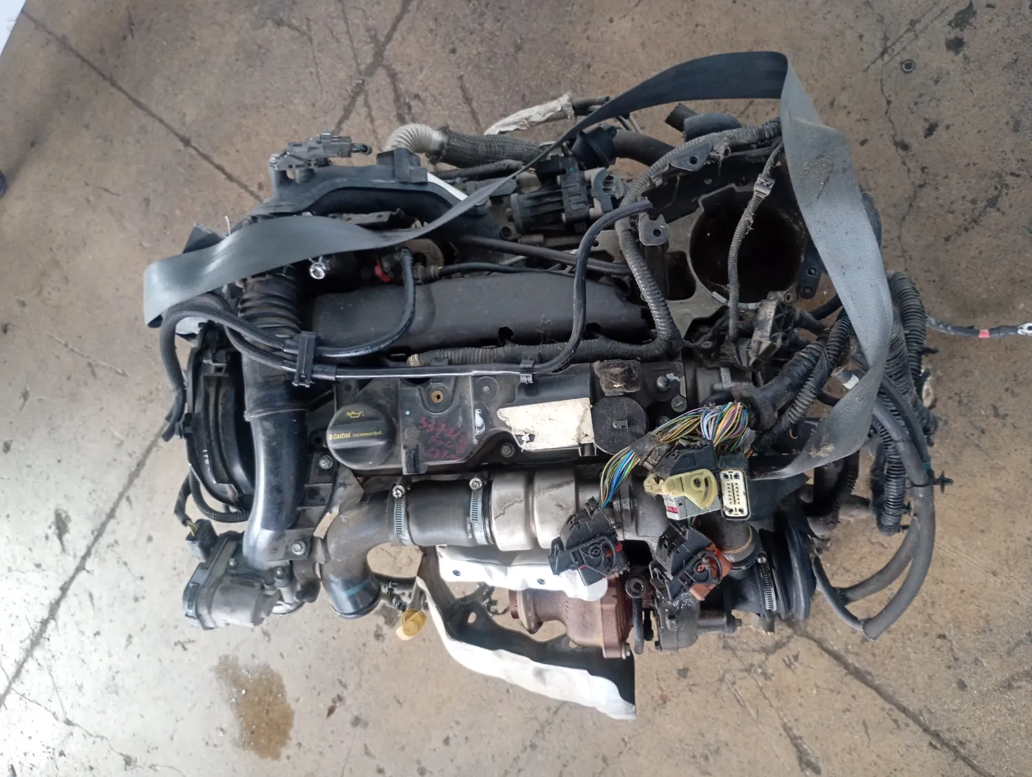 Motore completo Ford Focus (2011 – 2015) 1.6 85 KW diesel T1DB