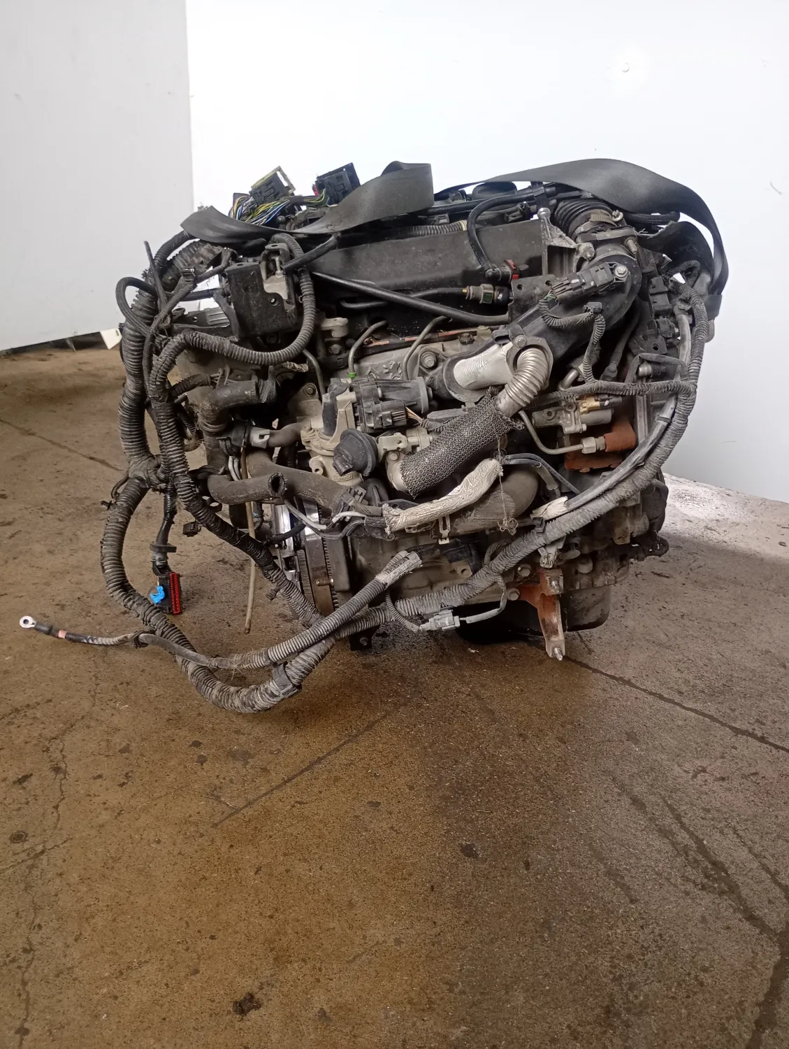 Motore completo Ford Focus (2011 – 2015) 1.6 85 KW diesel T1DB