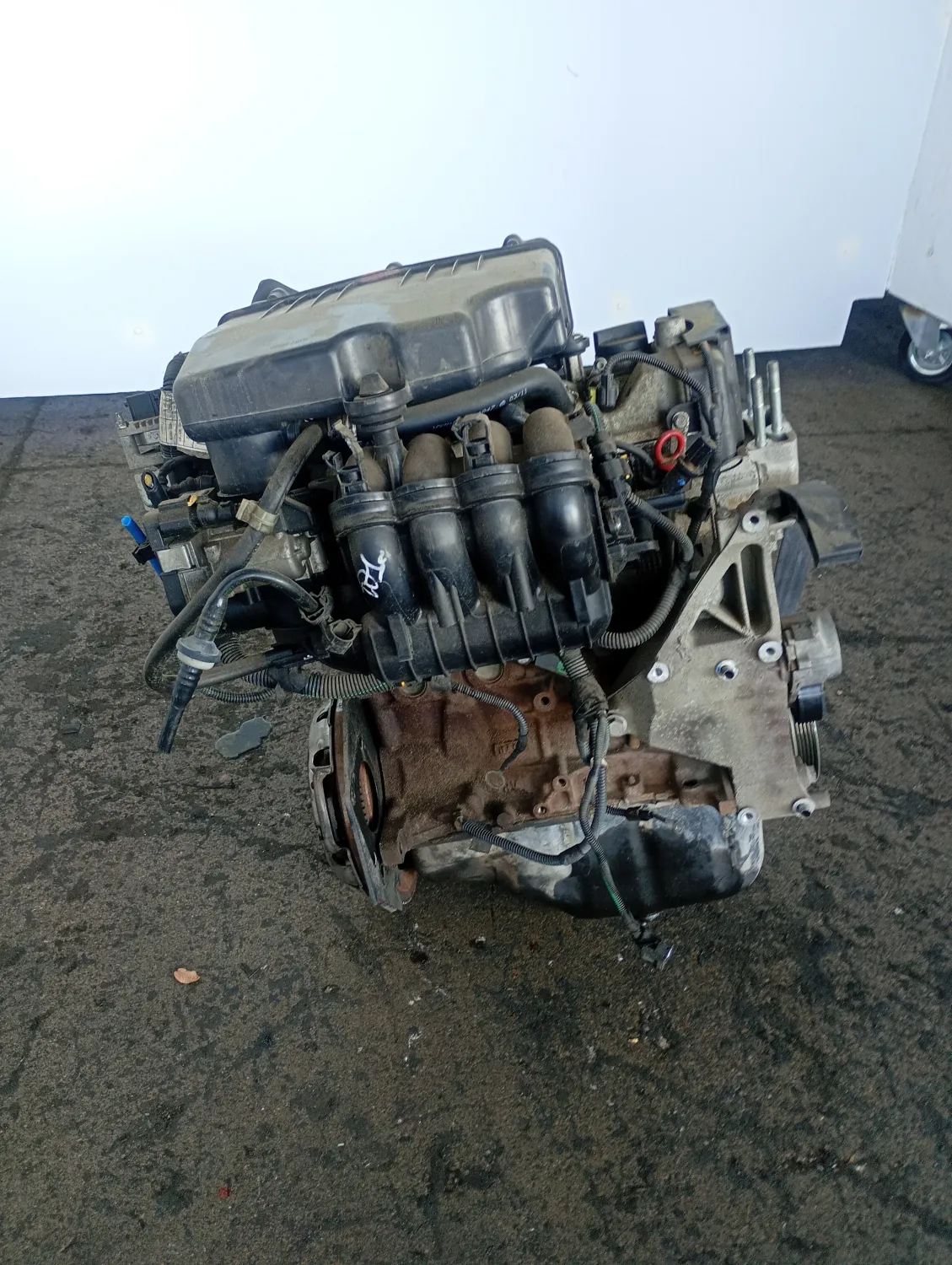 Motore completo Fiat 500 (2007 – 2015) 1.2 51 KW benzina 169A4000