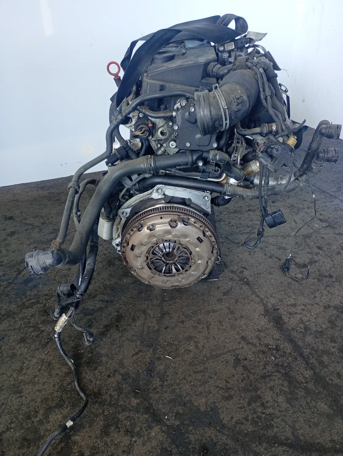 Motore completo Audi A3 (2003 – 2010) 2.0 103 KW diesel BMM