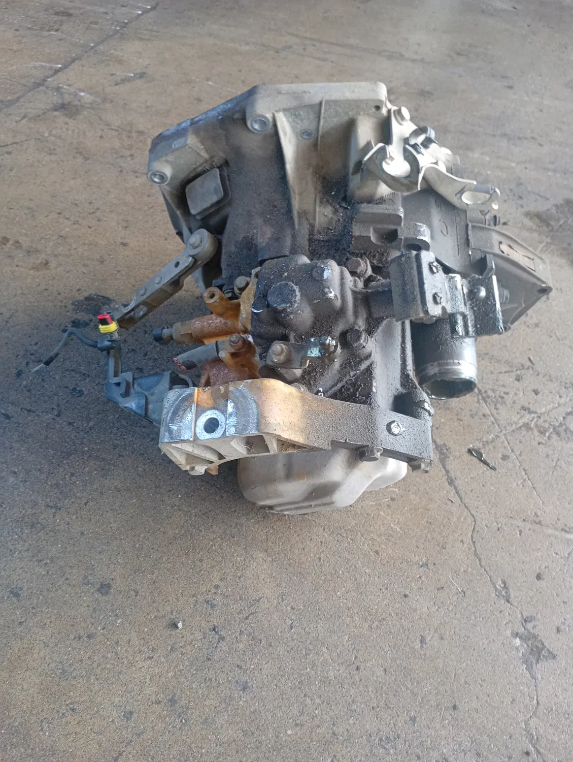 Cambio completo Fiat Panda (2003 – 2010) 1.1 40 KW benzina 55205239 187A1000