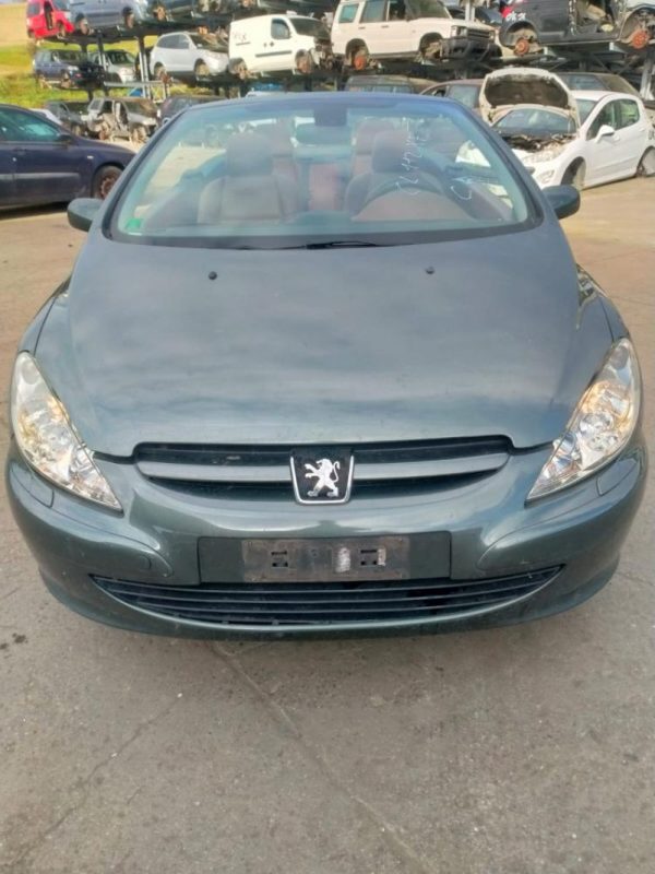Peugeot 307 | Veicolo intero