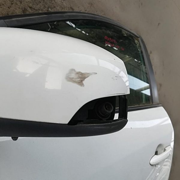 Porta Anteriore Sinistra Renault Megane 2013