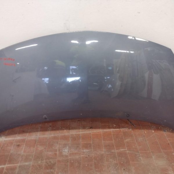 Cofano Renault Twingo 2008