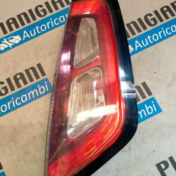 Faro Posteriore Destro Fiat Punto Evo 2010