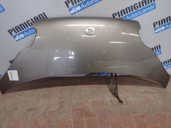 Cofano Smart ForTwo 2007