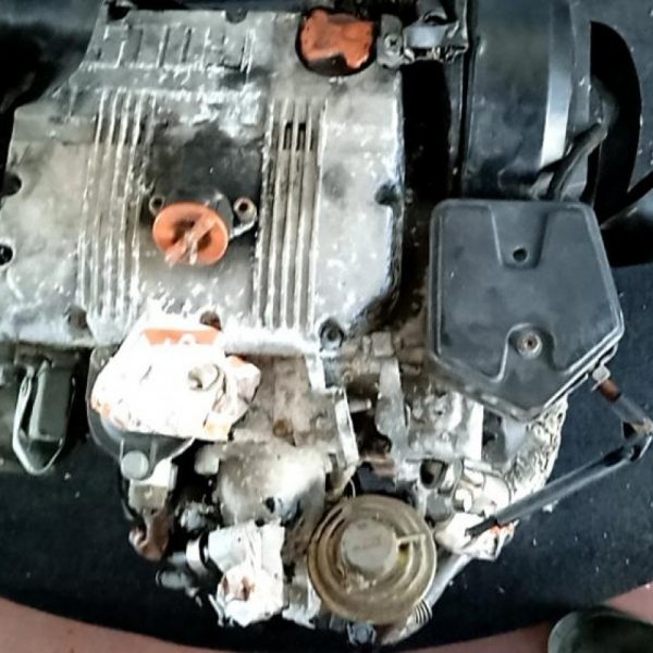 Motore Piaggio Quargo LDW702/P 56.800 Km