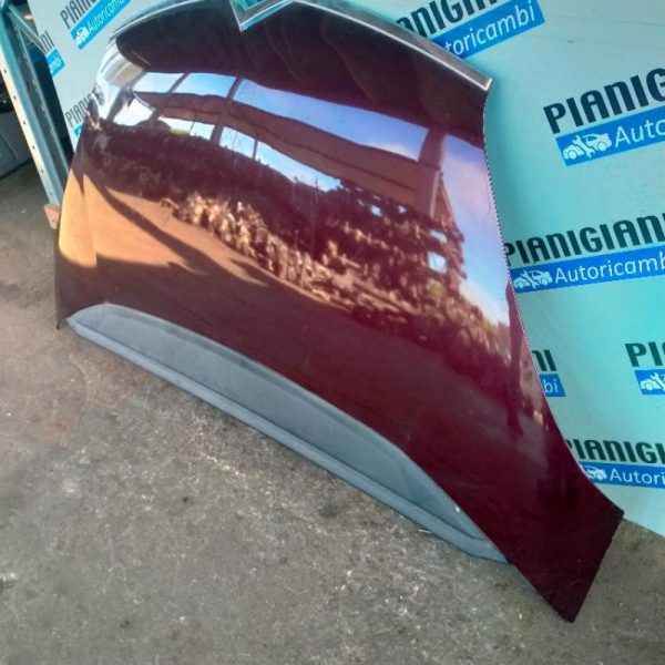 Cofano Citroen C4 Picasso 2006 – 2013