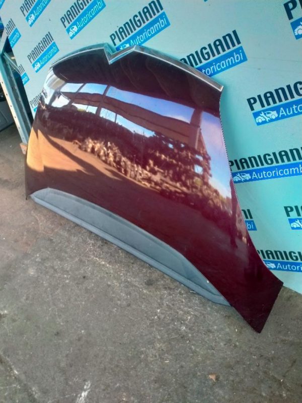 Cofano Citroen C4 Picasso 2006 – 2013