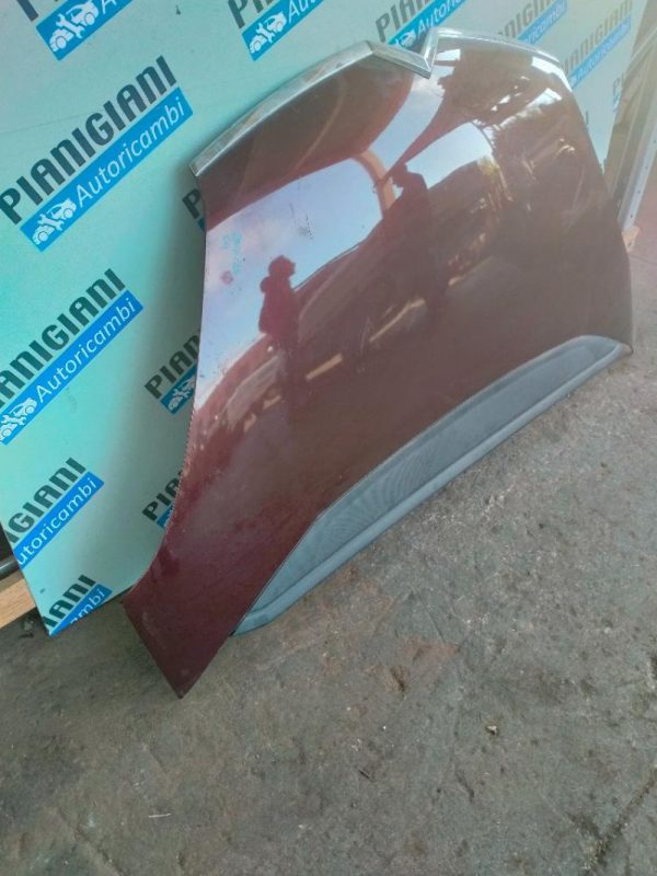 Cofano Citroen C4 Picasso 2006 – 2013