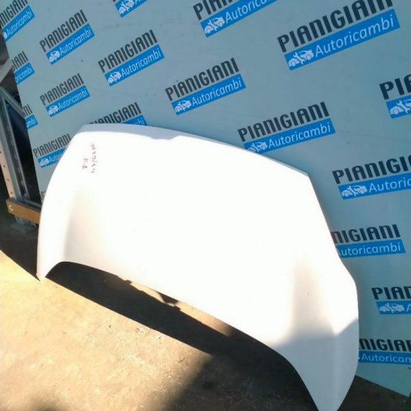 Cofano Ford Ka 2008 – 2020