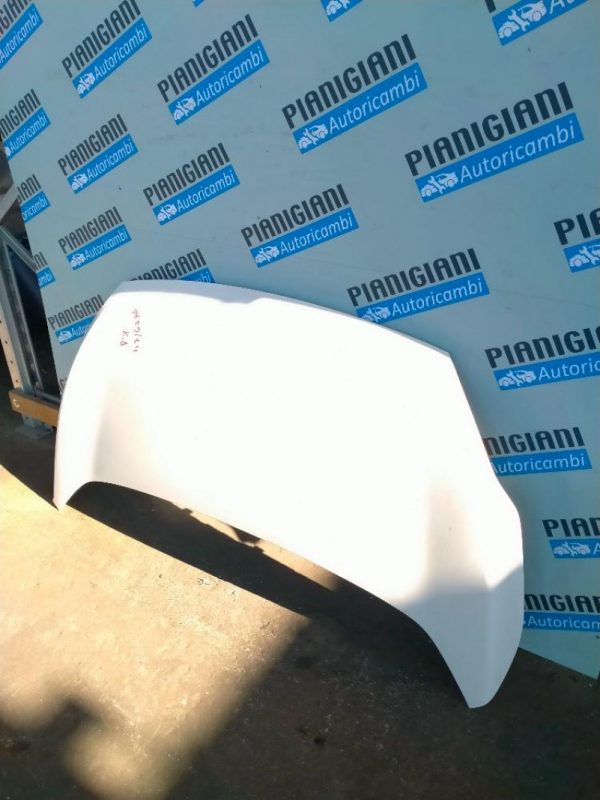 Cofano Ford Ka 2008 – 2020
