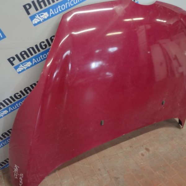 Cofano Ford Fiesta 2009
