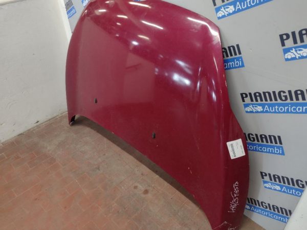Cofano Ford Fiesta 2009