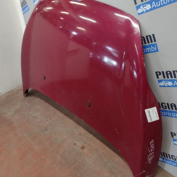 Cofano Ford Fiesta 2009
