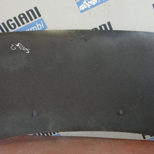 Cofano Citroen C2 2006