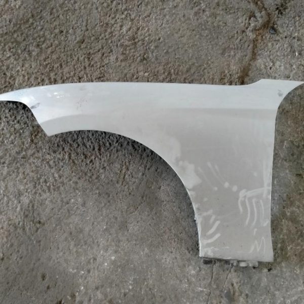 Parafango Anteriore Sinistro BMW Serie 1 F20 2011 – 2015