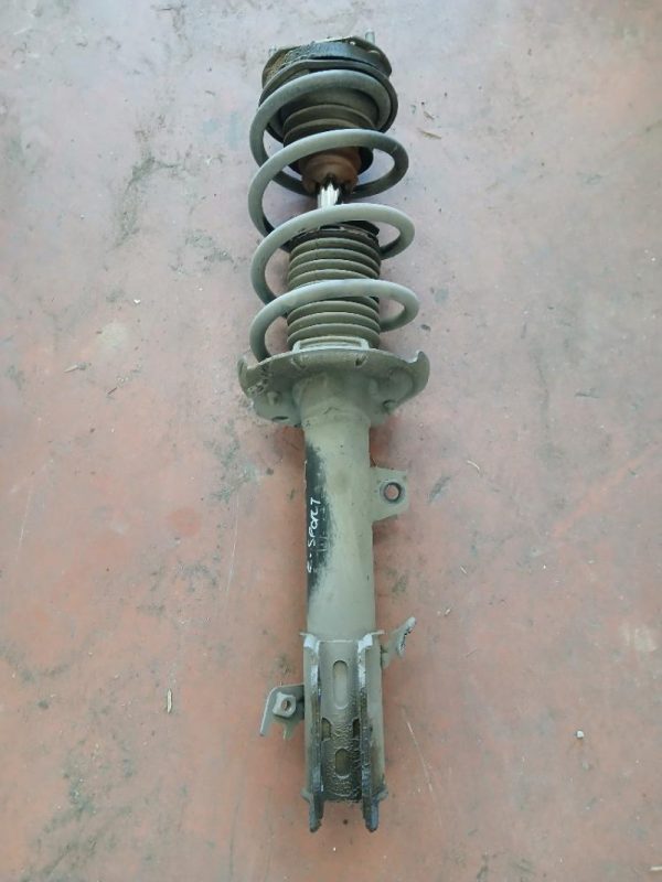 Ammortizzatore Sinistro Ford Ecosport Z2JB