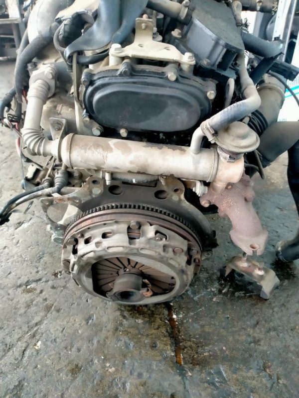 Motore Iveco Daily F1AE0481F*A 195.000 KM