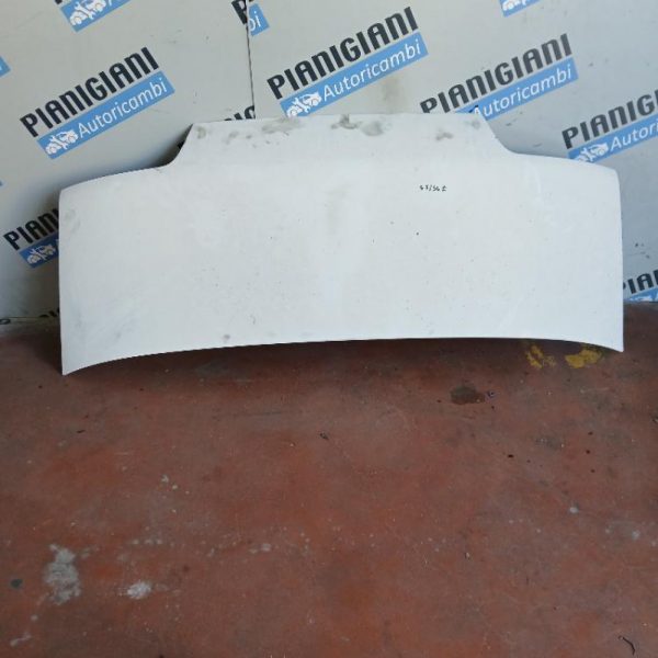 Cofano Fiat Ducato 1994 – 2006