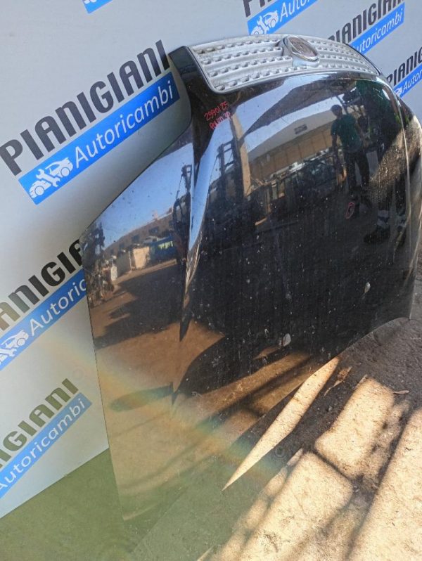 Cofano Fiat Punto 3a Serie 2005 – 2012