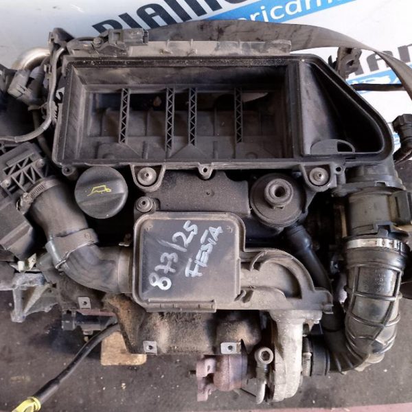 Motore Ford Fiesta F6JD 244.000 Km