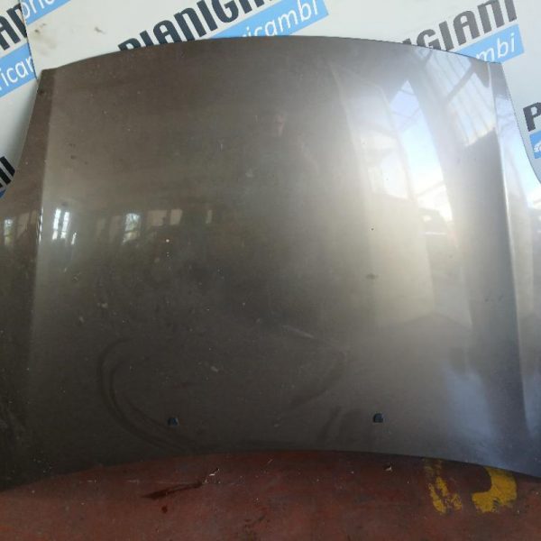 Cofano Fiat Bravo 2077 – 2011