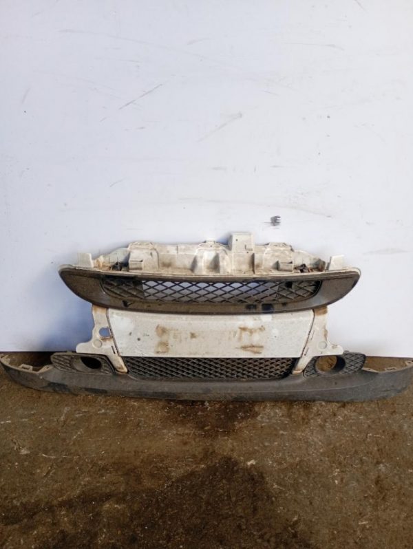 Paraurti / Mascherina Anteriore Centrale Smart Fortwo 451 Coupé 2007 – 2012