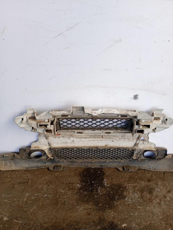 Paraurti / Mascherina Anteriore Centrale Smart Fortwo 451 Coupé 2007 – 2012