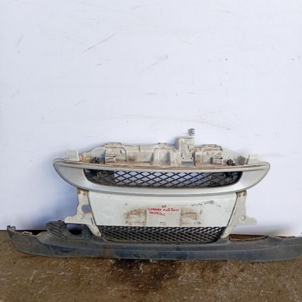 Paraurti / Mascherina Anteriore Centrale Smart Fortwo 451 Coupé 2007 – 2012