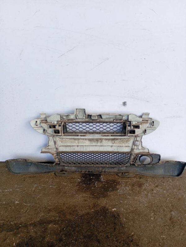 Paraurti / Mascherina Anteriore Centrale Smart Fortwo 451 Coupé 2007 – 2012