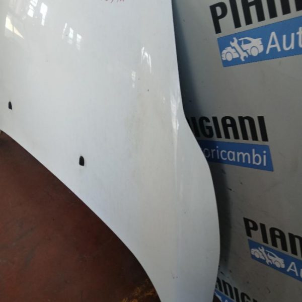 Cofano Ford Fiesta 2008 – 2013