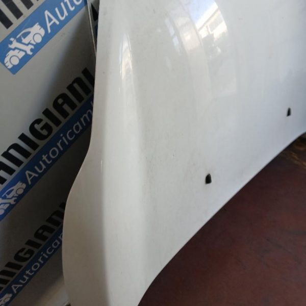 Cofano Ford Fiesta 2008 – 2013