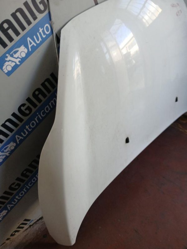 Cofano Ford Fiesta 2008 – 2013
