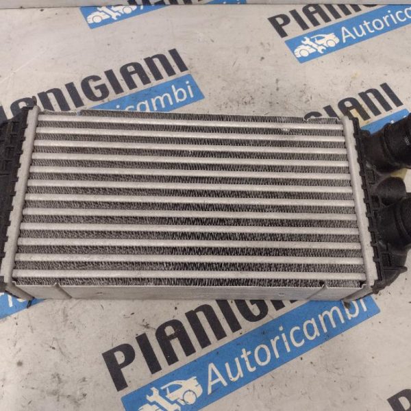 Intercooler Jeep Renegade 2023