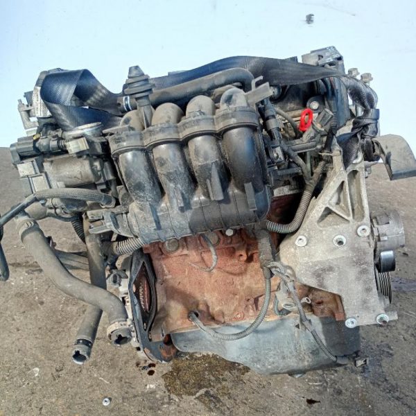 Motore Fiat Panda 2a Serie (2009-2011) 1.2 51 KW 169A4000 110.000 KM