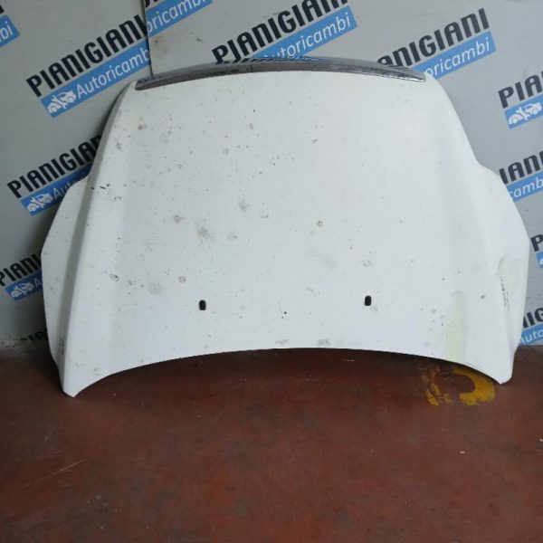 Cofano Ford Focus 2009