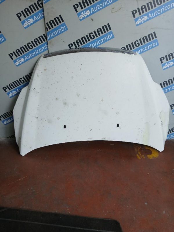 Cofano Ford Focus 2009