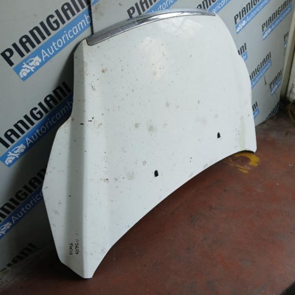 Cofano Ford Focus 2009