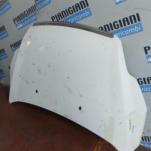 Cofano Ford Focus 2009