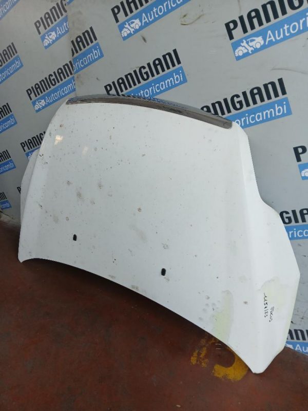 Cofano Ford Focus 2009